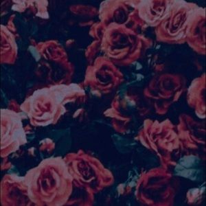 Meet your Posher, Jayda